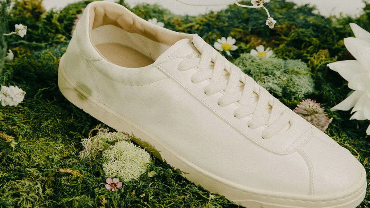 Koio product image